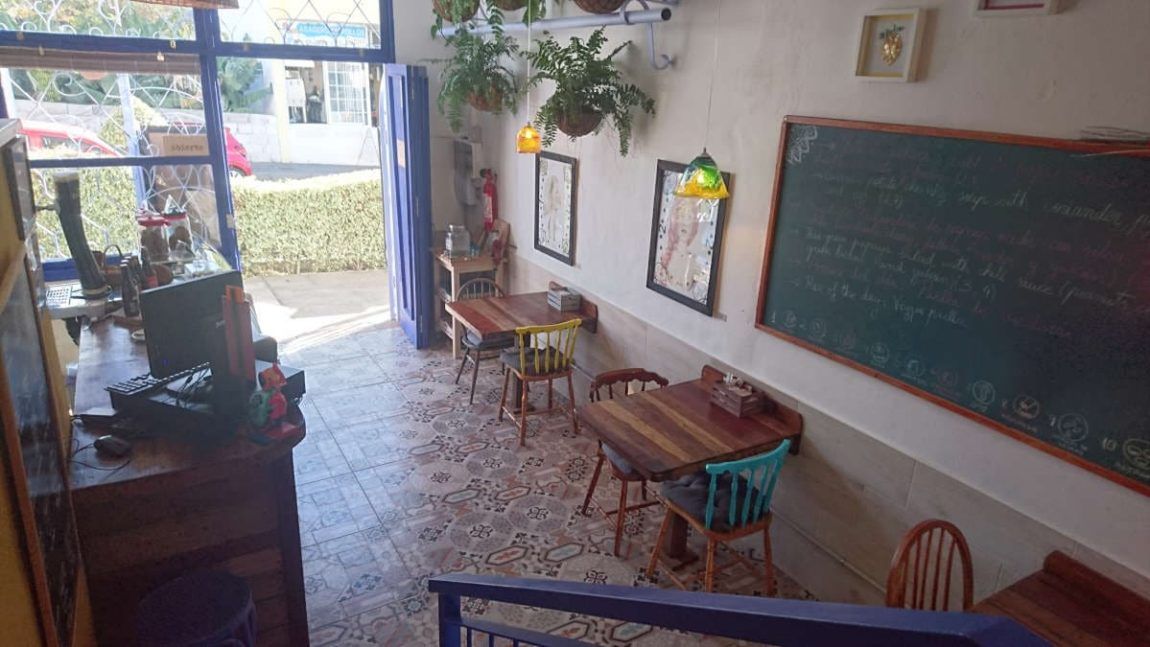 Palmerita Café, Amandelbloesemfeest Puntagorda en mooie wandeling Fuencaliente